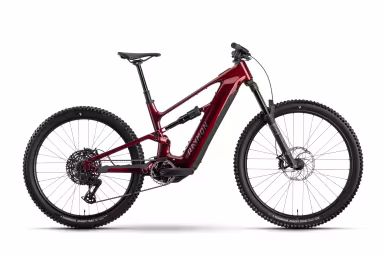 Raymon Ravor Pro