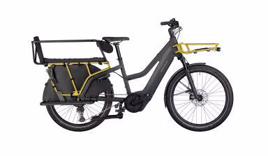 Riese & Müller Multicharger3 Mixte Family