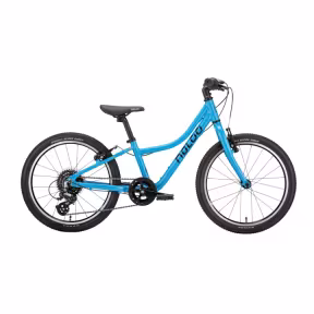 Naloo Chameleon 24 Blau Occasion