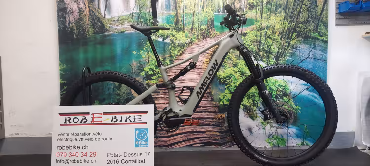 AMFLOW Pr Carbon