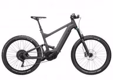Riese & Müller Delite mountain touring