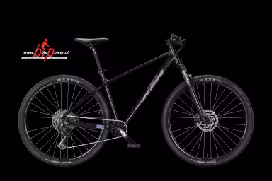 KTM Chicago 291