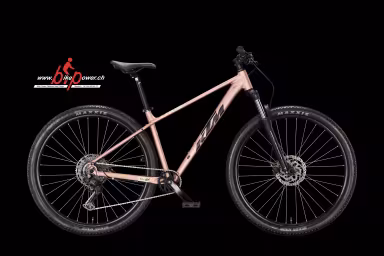 KTM Penny Lane 291 M/43Cm