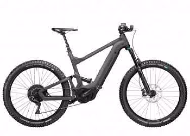 Riese & Müller Delite mountain touring