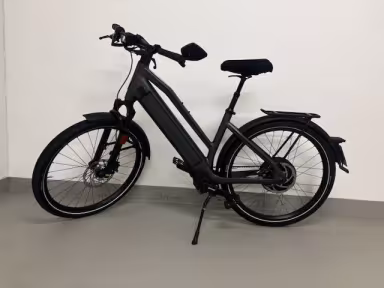 Stromer St 2 Pinon