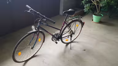 Coronado Dame 28"