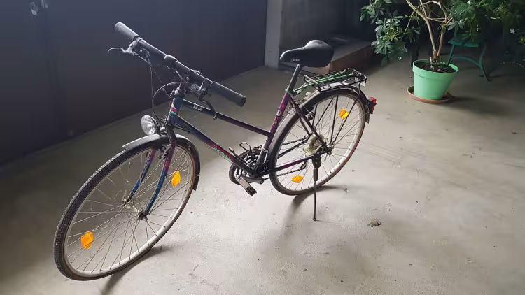 Coronado Dame 28"