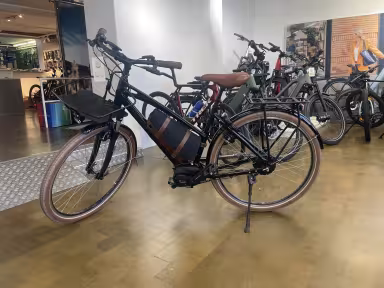 Riese & Müller Cruiser Mixte vario