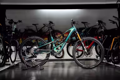 Orbea Wild Lt Ltd Rs