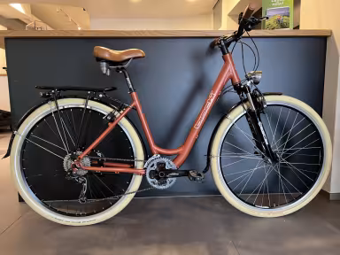 Bischibikes Trekking Lady Wave