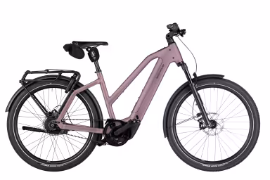 Riese & Müller Charger5 Mixte Vario