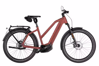 Riese & Müller Charger5 Mixte pinion HS