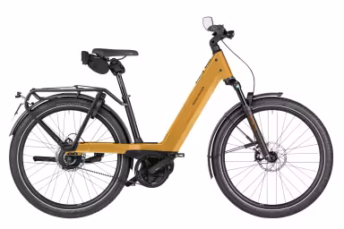 Riese & Müller Nevo5 vario HS
