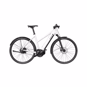 Riese & Müller E-Bike Roadster 4 Mixte Vario