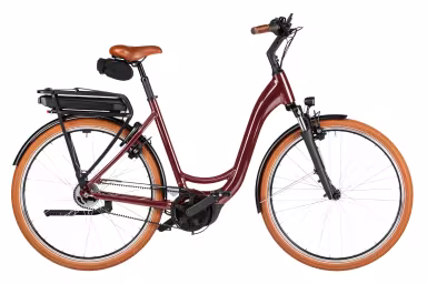 Riese & Müller Swing5 vario