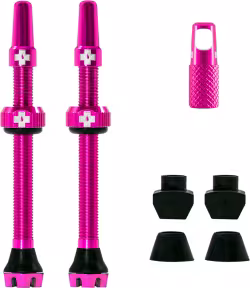 V2 Tubeless Valve Kit 60mm/pink 60 mm, pink