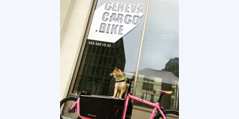 GenevaCargo.Bike