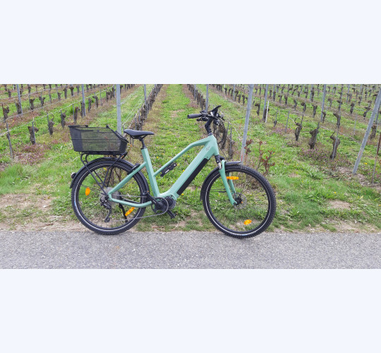 2020 O2feel Iswan D10 Explorer Mid for sale. - Bicycle, E-Bike,  Accessories: New \u0026 Used - velocorner