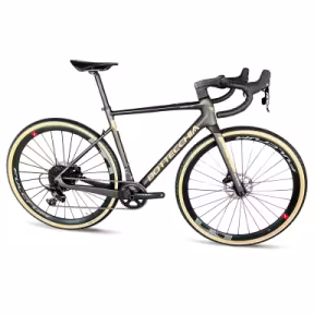 Bottecchia 