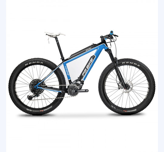 2022 FM-BIKE E-Dual in Vendita - Biciclette e E-bike occasione e nuova -  velocorner