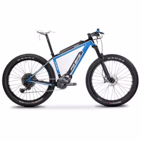 FM-BIKE E-Dual