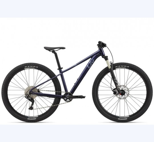 2022 Liv Tempt 29 2 Ge for sale 