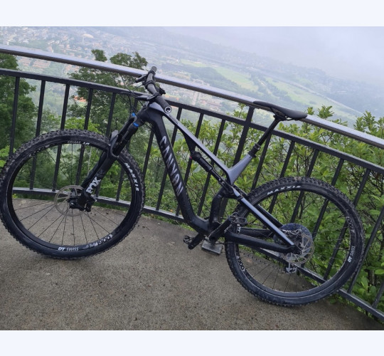 2020 Canyon Canyon Neuron Cf 8.0 in Vendita - velocorner
