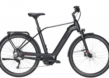 2021 Raymon TrailRay E 8.0 for sale 