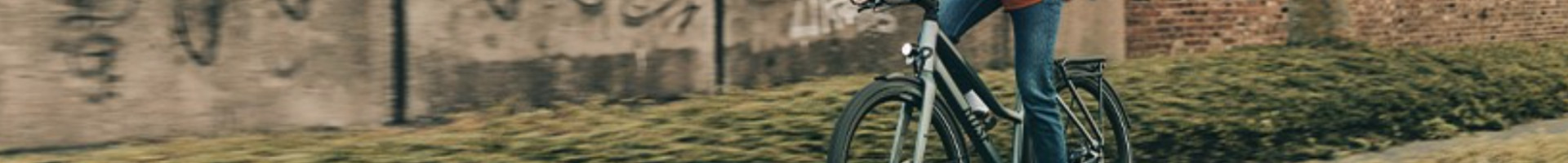 ROSE Bikes Schweiz AG cover