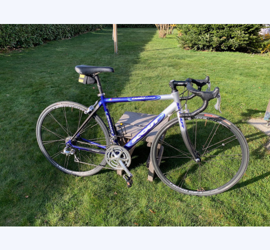 2005 Scout Carbo Comp in Vendita - velocorner