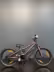 SCOTT Contessa 16