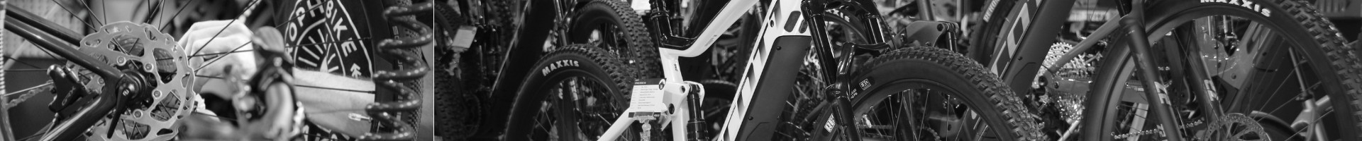 Trophy Bike Bern cover