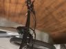 Bergstrom Xcv 729