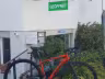 Basso Tera