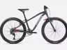 Orbea Mx24 Team