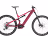 Bergstrom AXV 849  