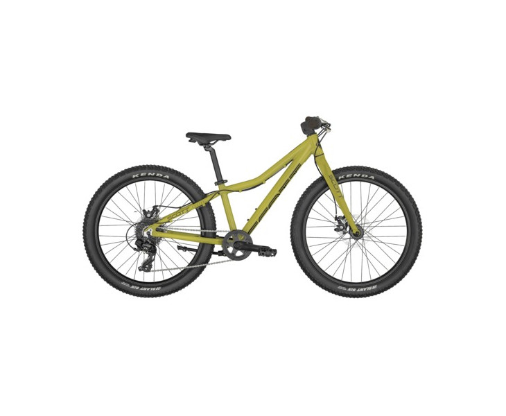 scott roxter 24 bike