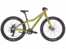 SCOTT Roxter 24 green