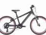 Bulls Tokee 20"