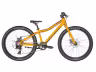 SCOTT Scale 24 Rigid