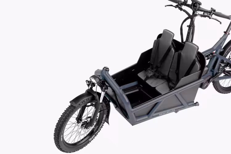 Riese & Müller Load 60 touring