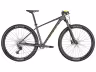 SCOTT scale 980