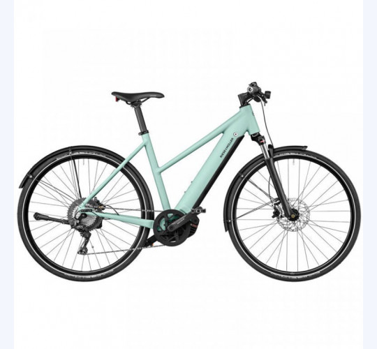 Riese & Müller Roadster Mixte vario