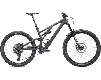 SPECIALIZED SJ EVO LTD