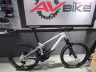 Orbea Wild FS M20