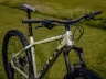 Kellys Gibon 30
