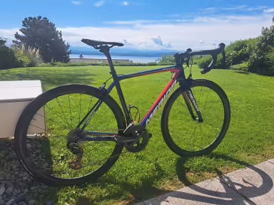 MERIDA Scultura Team-E