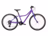 Naloo Chameleon 24", Mk2.1, 8-Speed