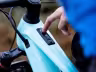 Bergstrom Bleu
