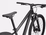 SPECIALIZED Rockhopper Comp 29